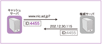 図:DNSメッセージの識別
