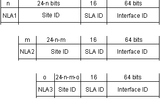 Figure: NLA Allocation Hierarchy