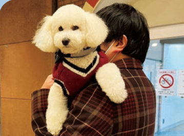写真:愛犬のハル